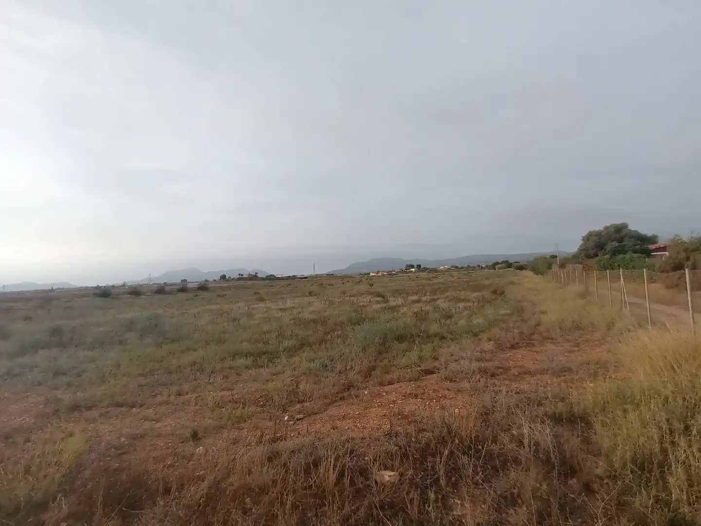 Terreny rústic en venda a Pedanías Oeste