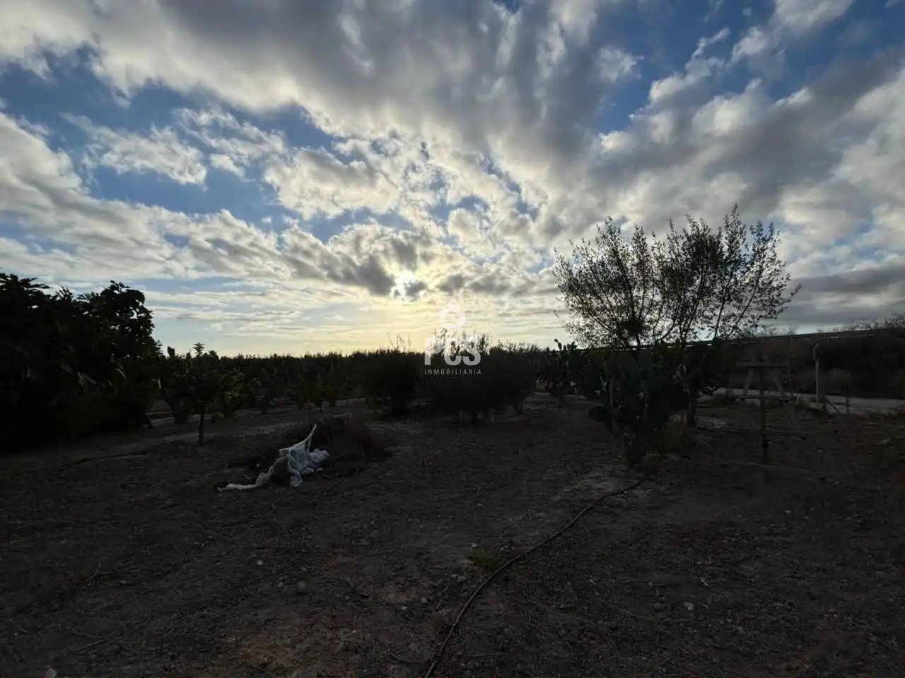 Houses for sale in Totana  with Private garden