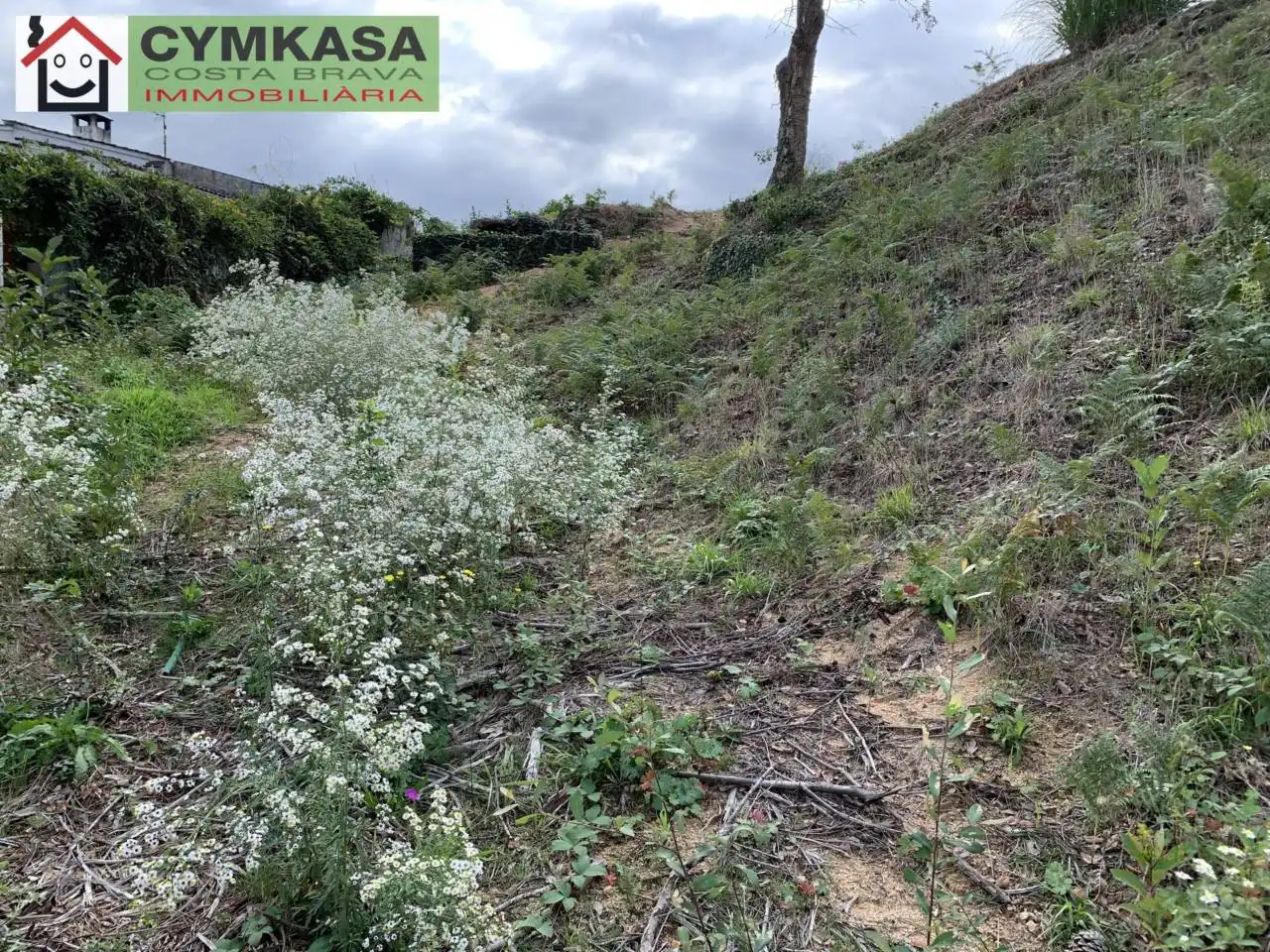 Residential land for sale in Montbarbat, imagen 8