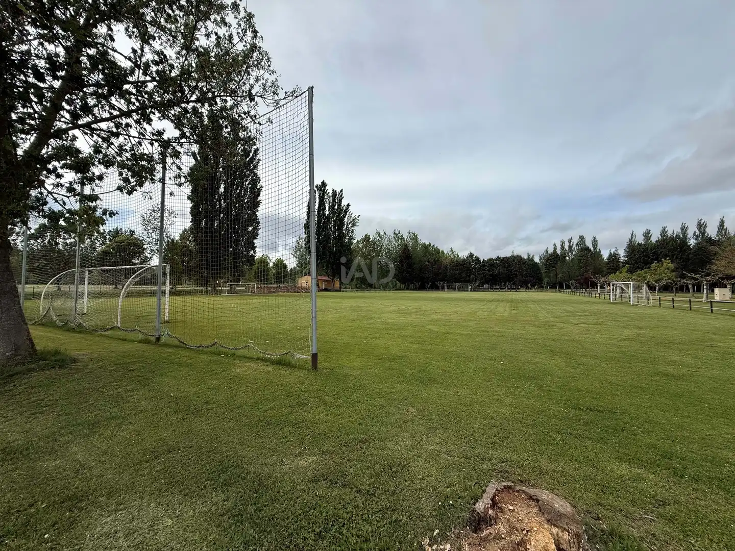 Finca rústica en venta en Cimanes del Tejar