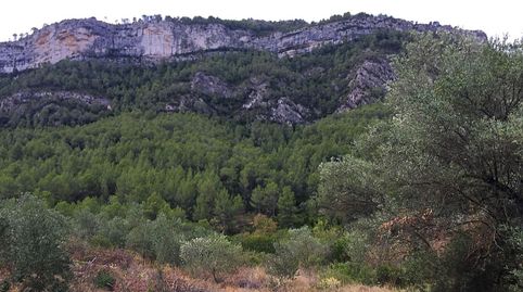 Imatge 1 de l'anunci