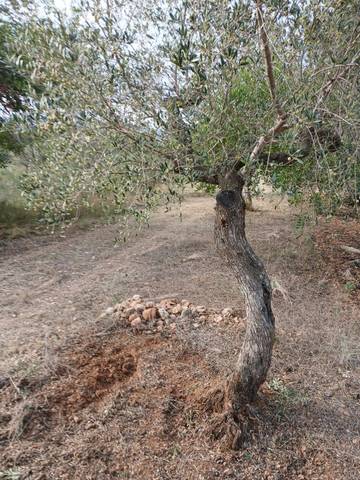 Terreno en Venta en Poble