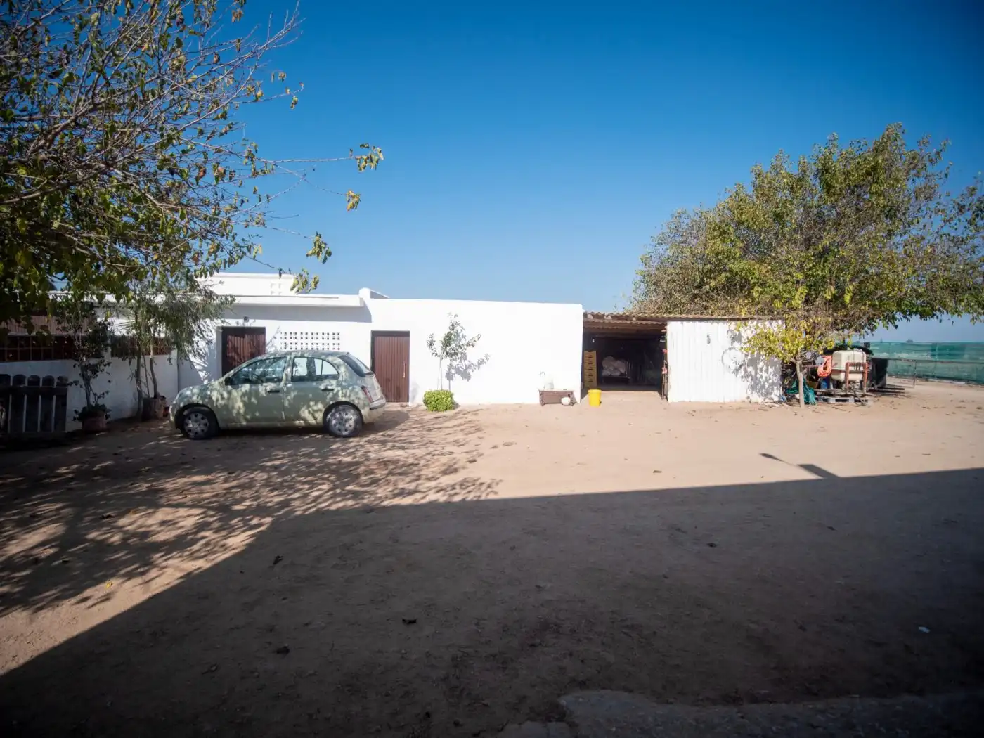 Vista exterior de Finca rústica en venta en Chipiona con Jardín privado y Terraza