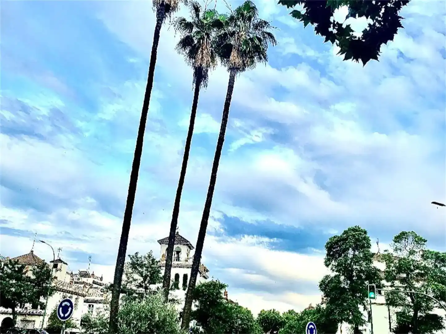 Vista exterior de Casa o xalet en venda en  Sevilla Capital