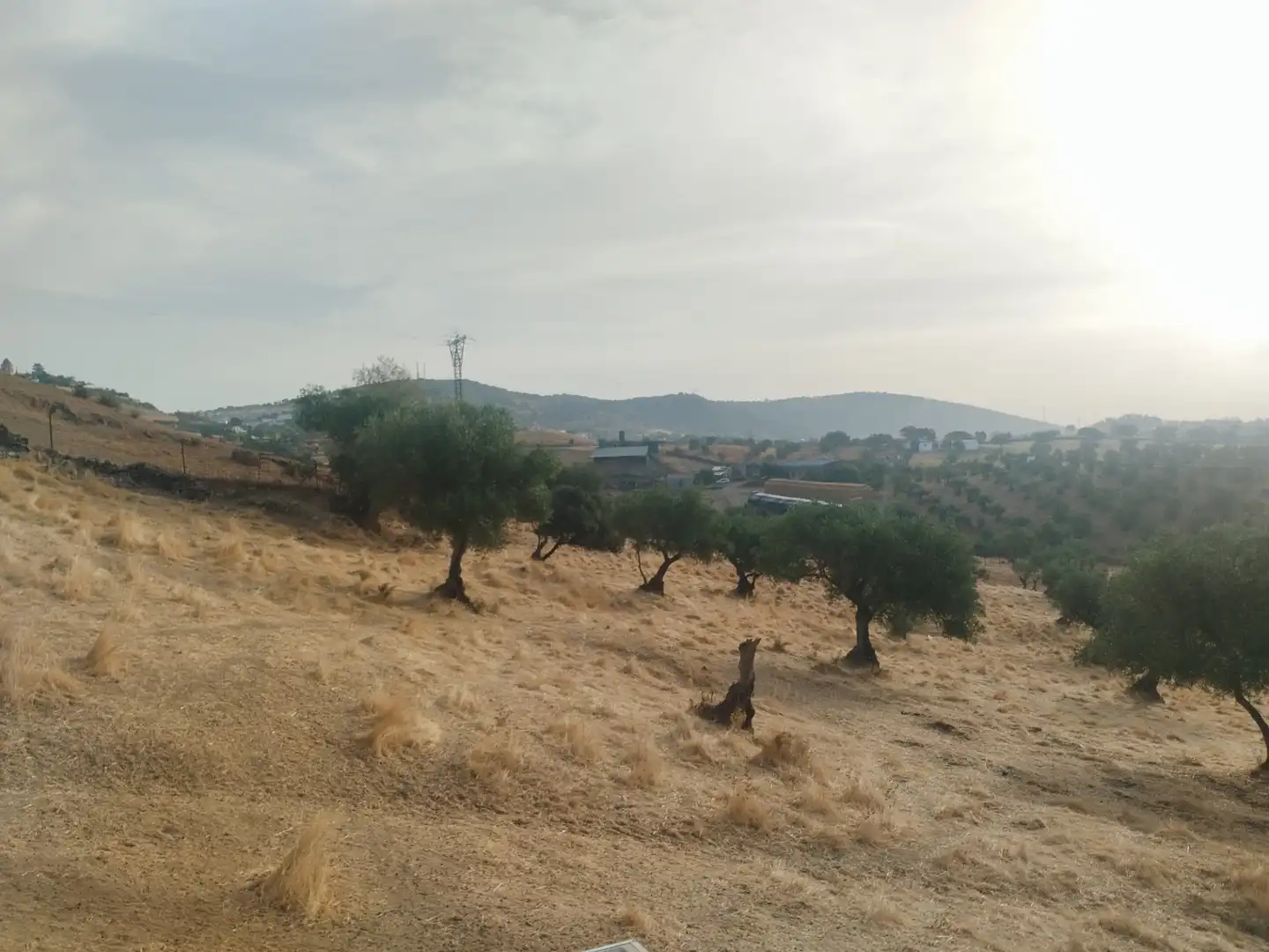 Terreni e lotti in vendita a Jerez de los Caballeros, imagen 4