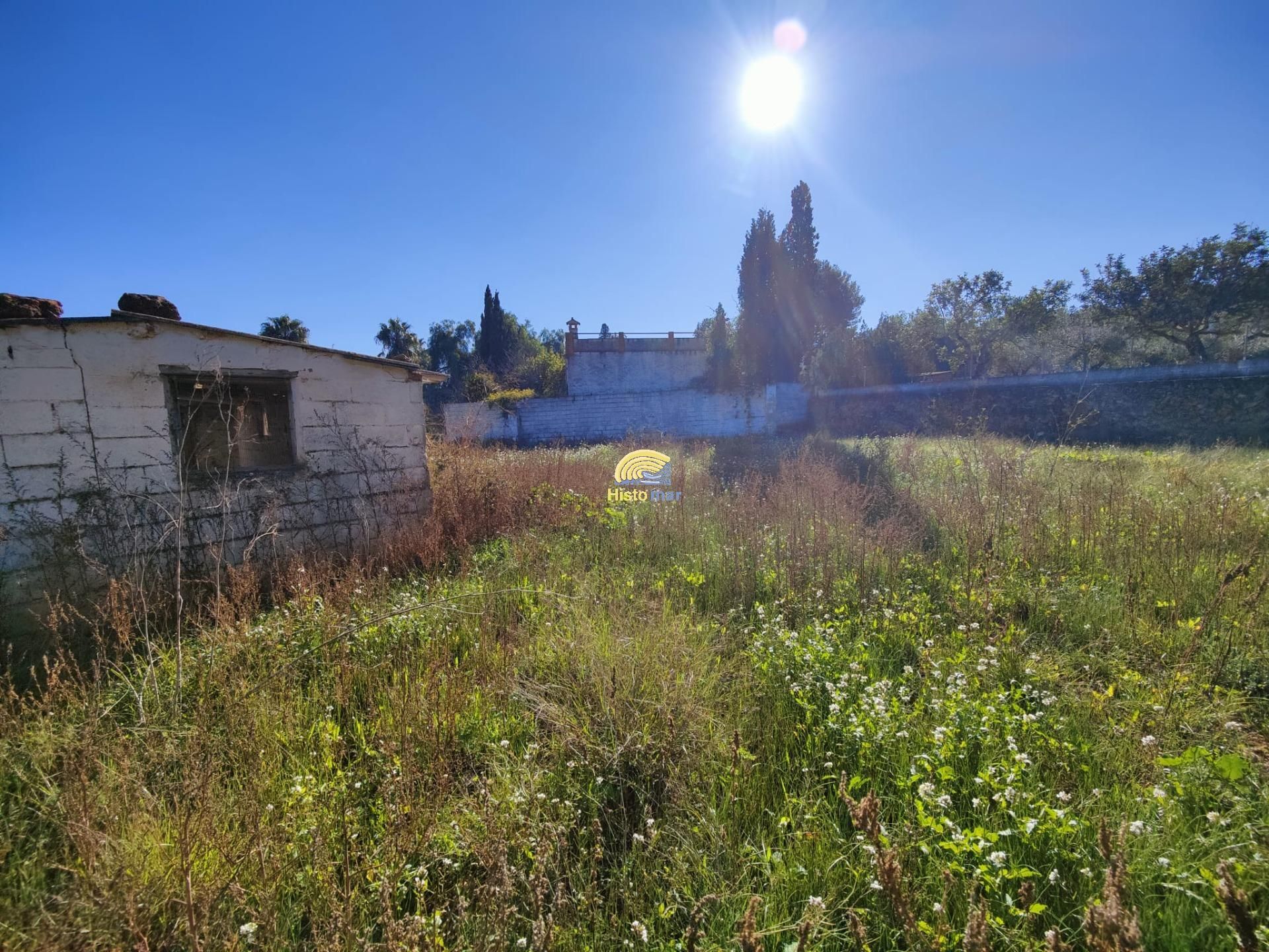 Finca rústica en venta en Algar de Palància