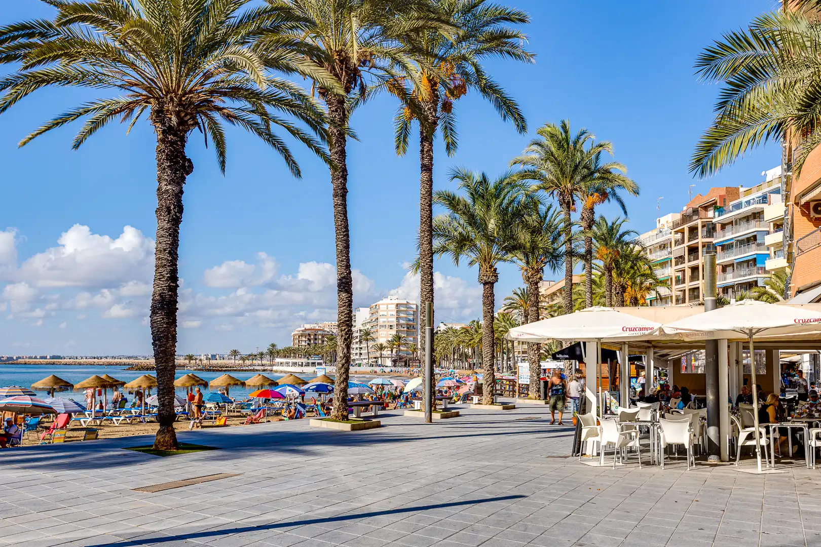 Vista exterior de Estudio de alquiler en Torrevieja con Amueblado, Lavadora y Microondas