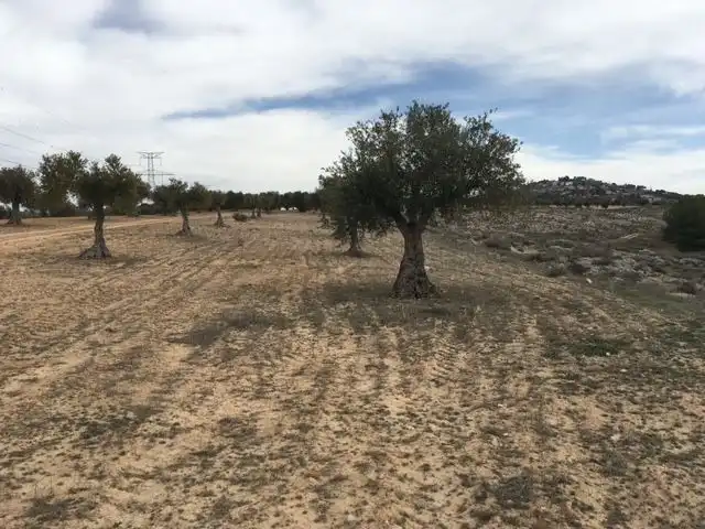 Rural land for sale in Diseminado Casasola Cm 691, imagen 2