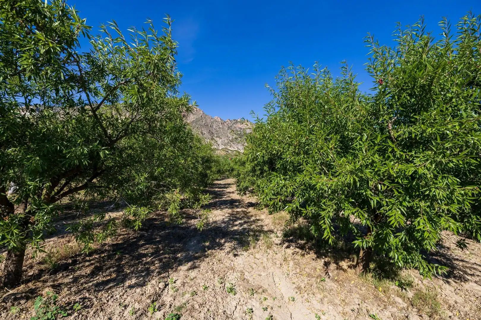 Rural land for sale in Dúrcal, imagen 21
