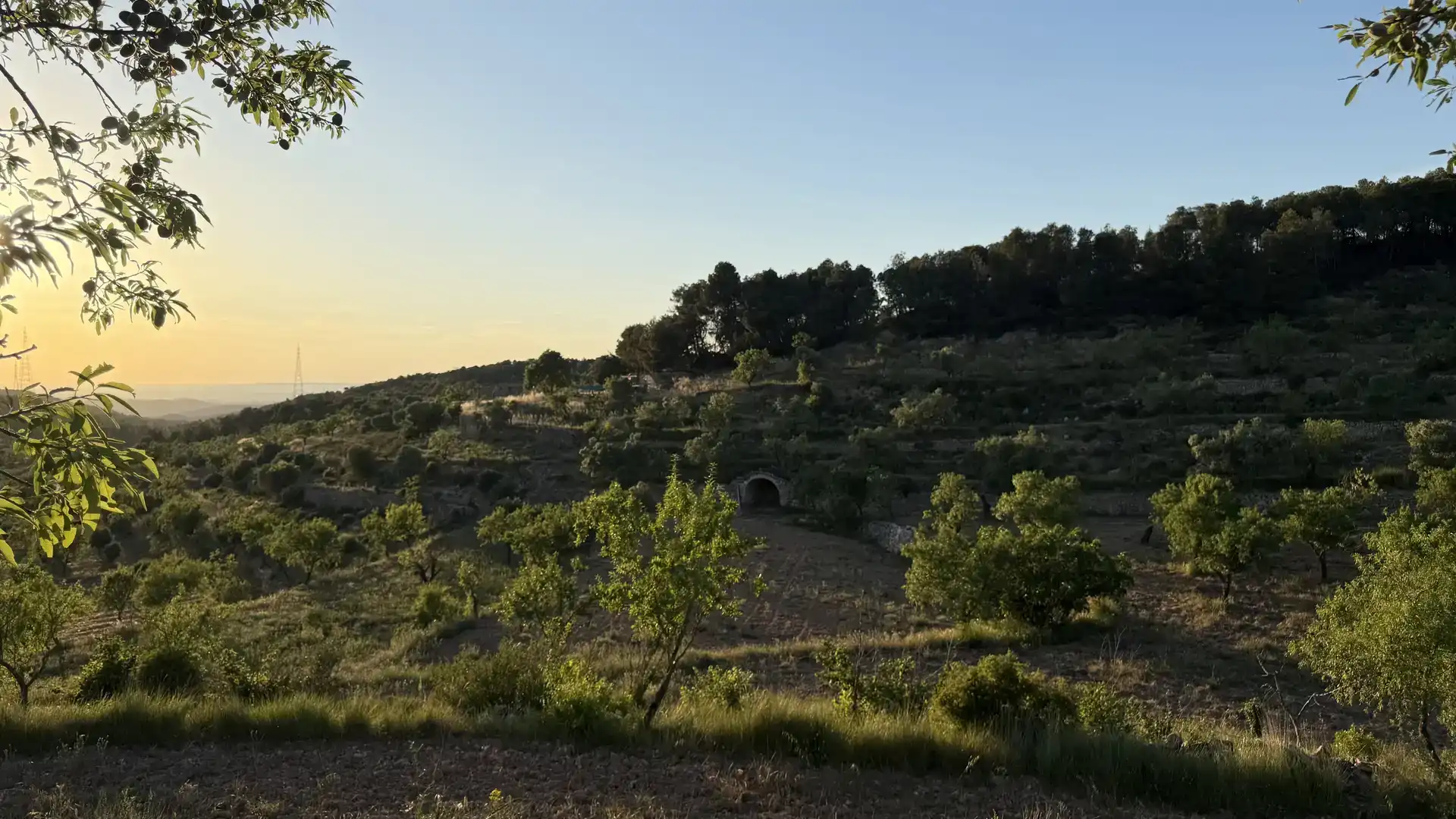 Finca rústica en venda en La Fatarella amb Jardí privat