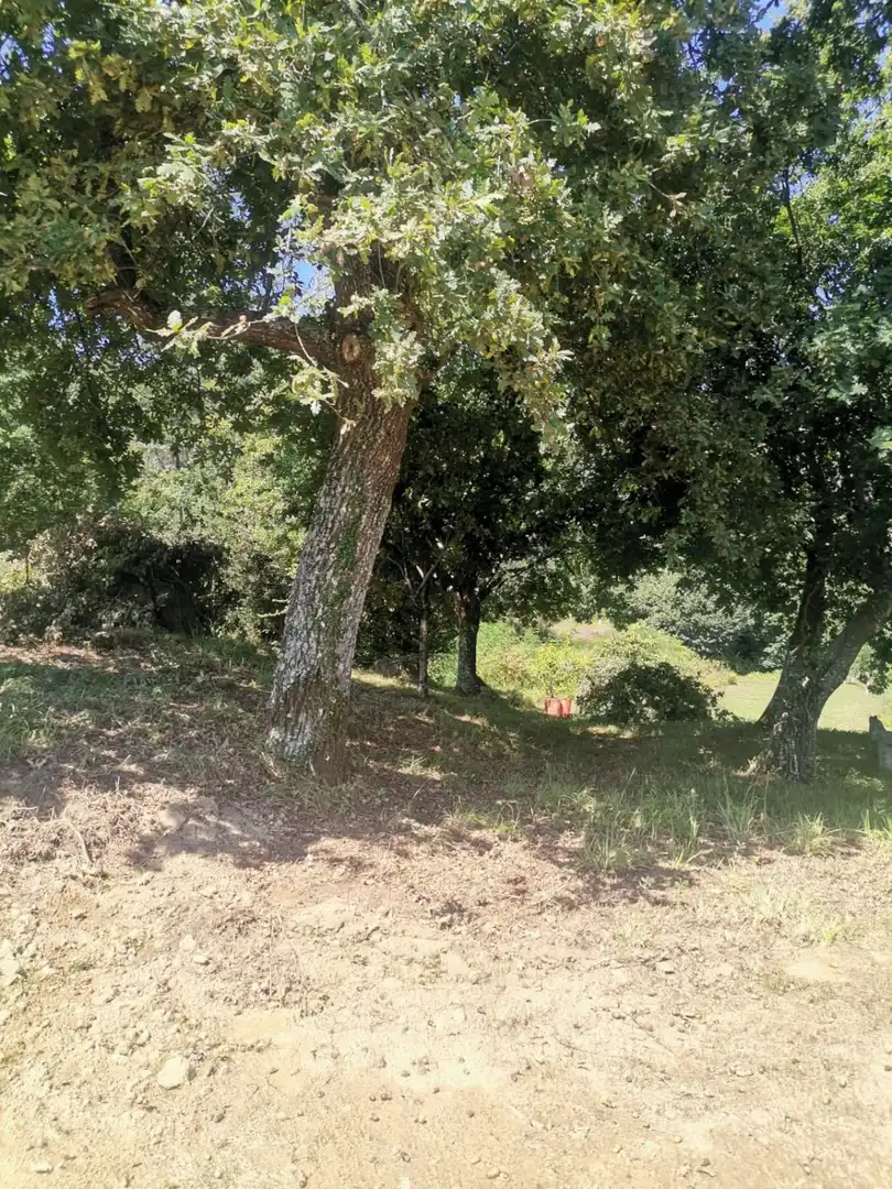 Terrenys i solars en venda a Mos, imagen 26