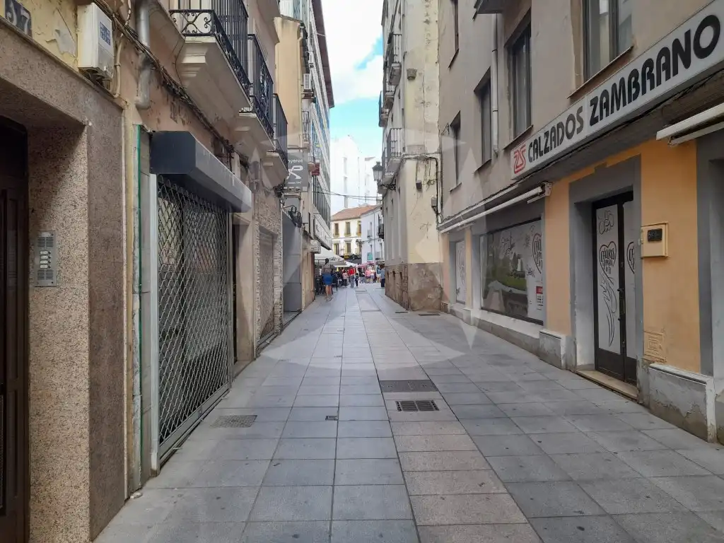 Locale commerciale in vendita a Calle Donoso Cortés