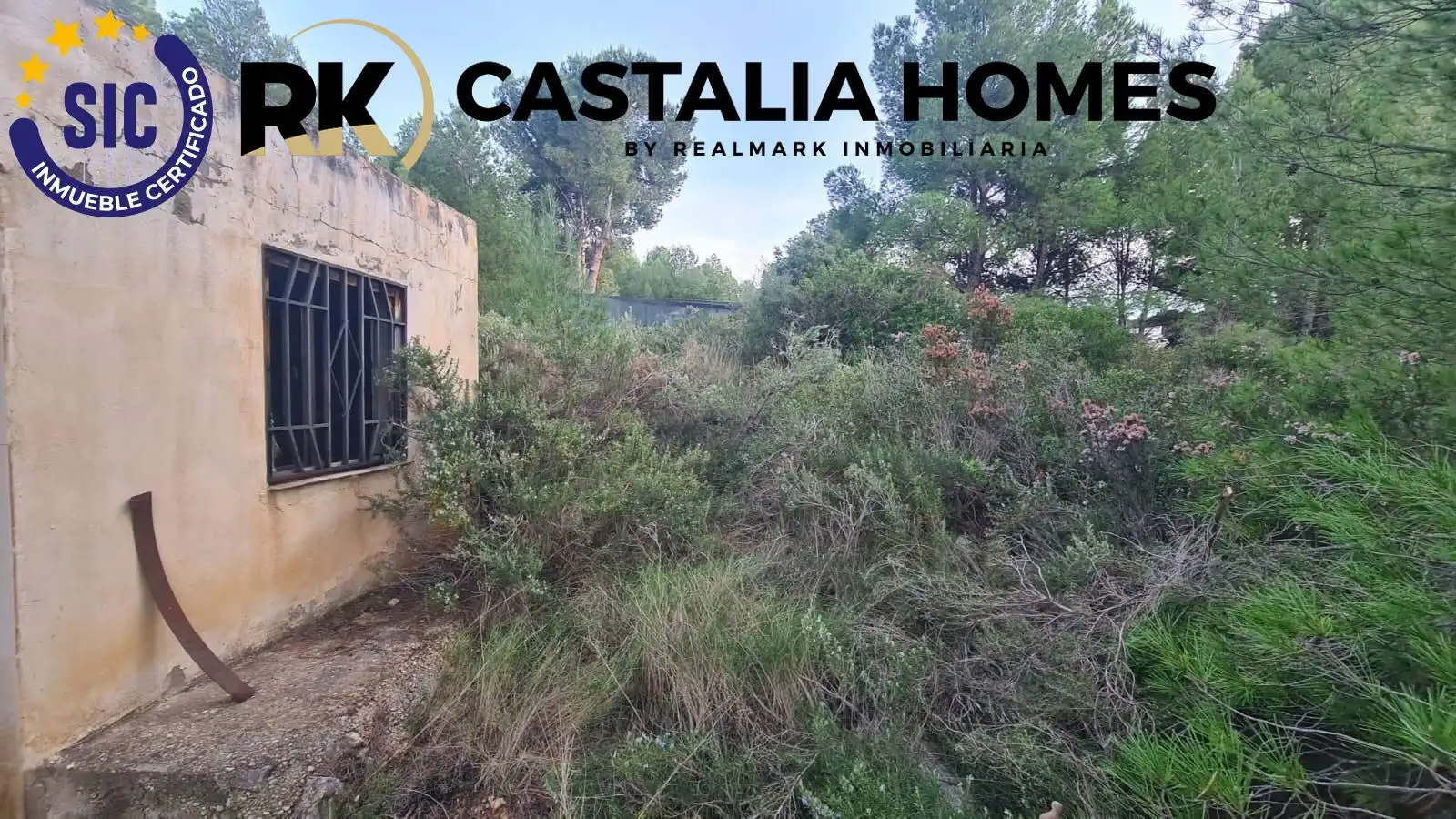 Vista exterior de Casa o chalet en venta en Borriol con Jardín privado y Piscina