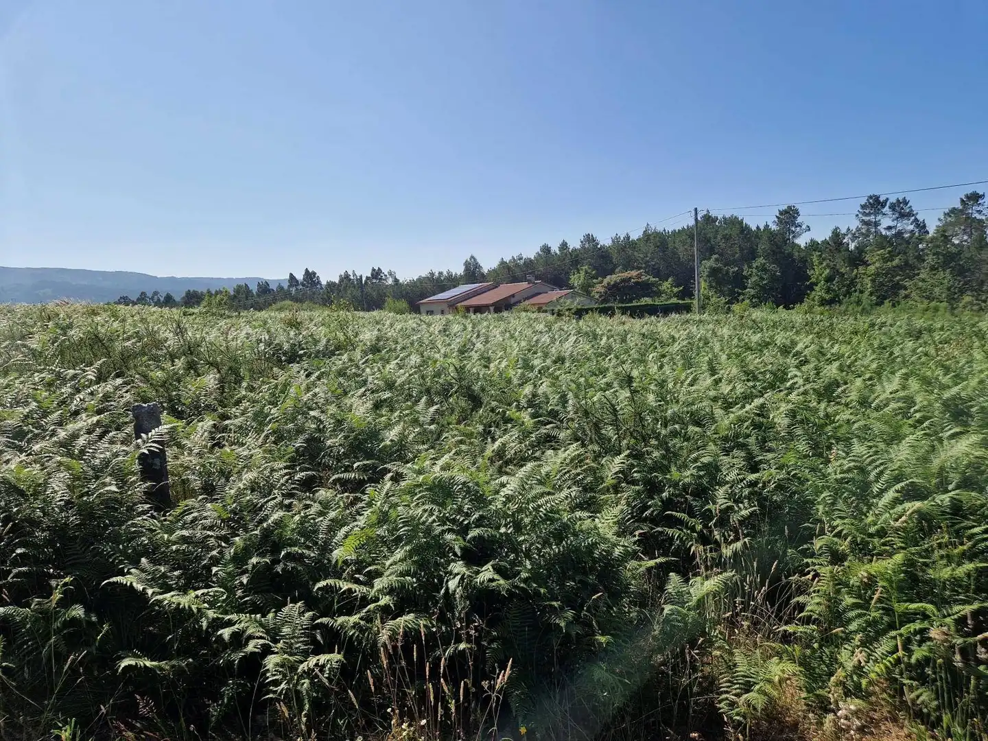 Lands and plots for sale in Brión