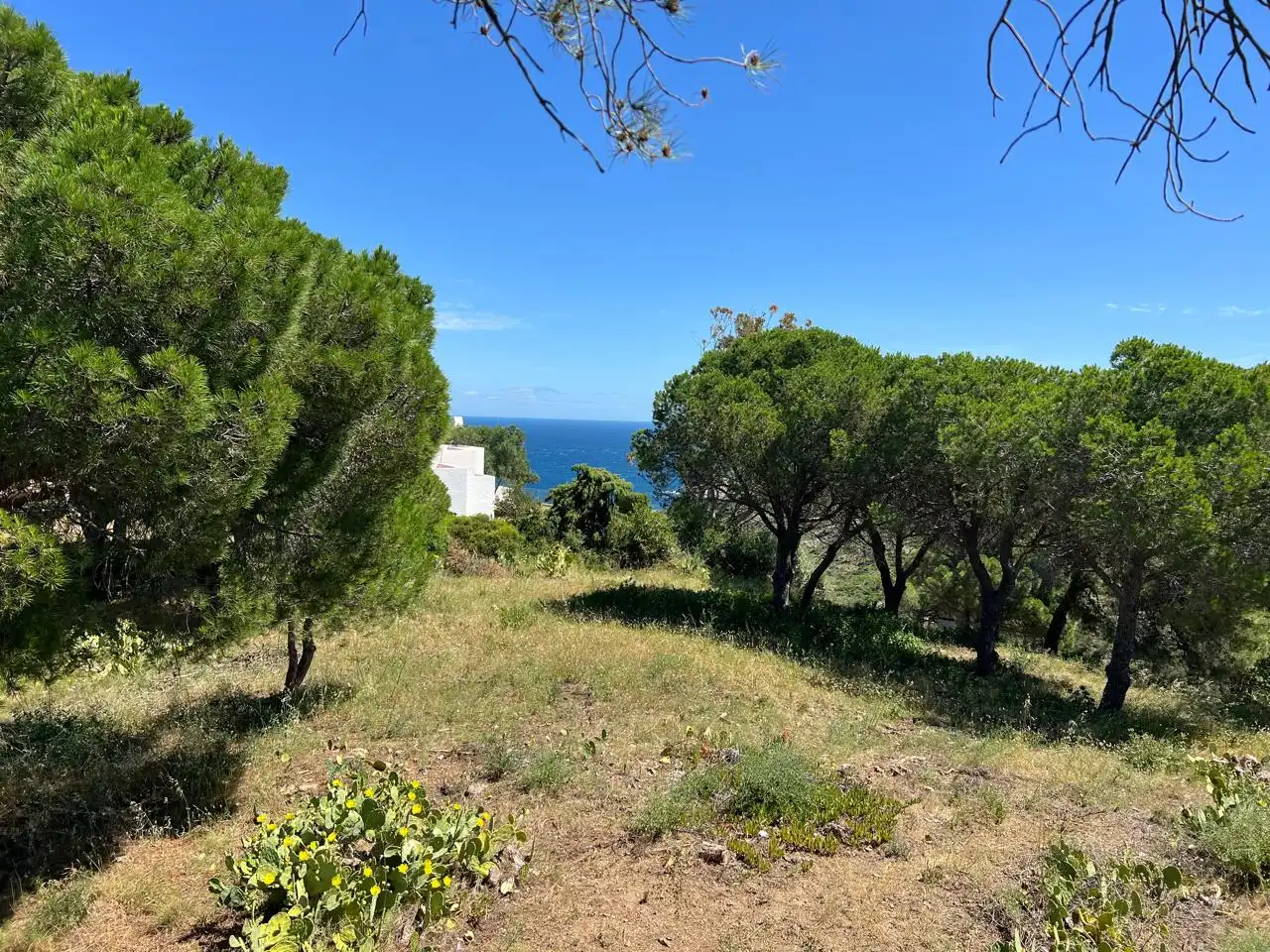 Residencial en venda en El Port de la Selva
