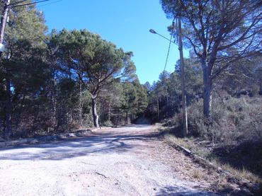 Terreno residencial en venta en Sector c