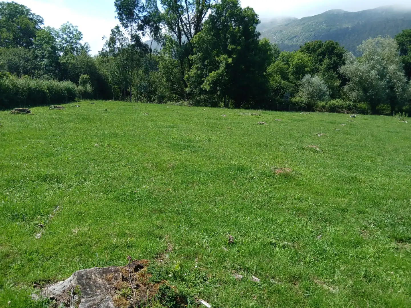 Terreni e lotti in vendita a San Felices de Buelna, imagen 18