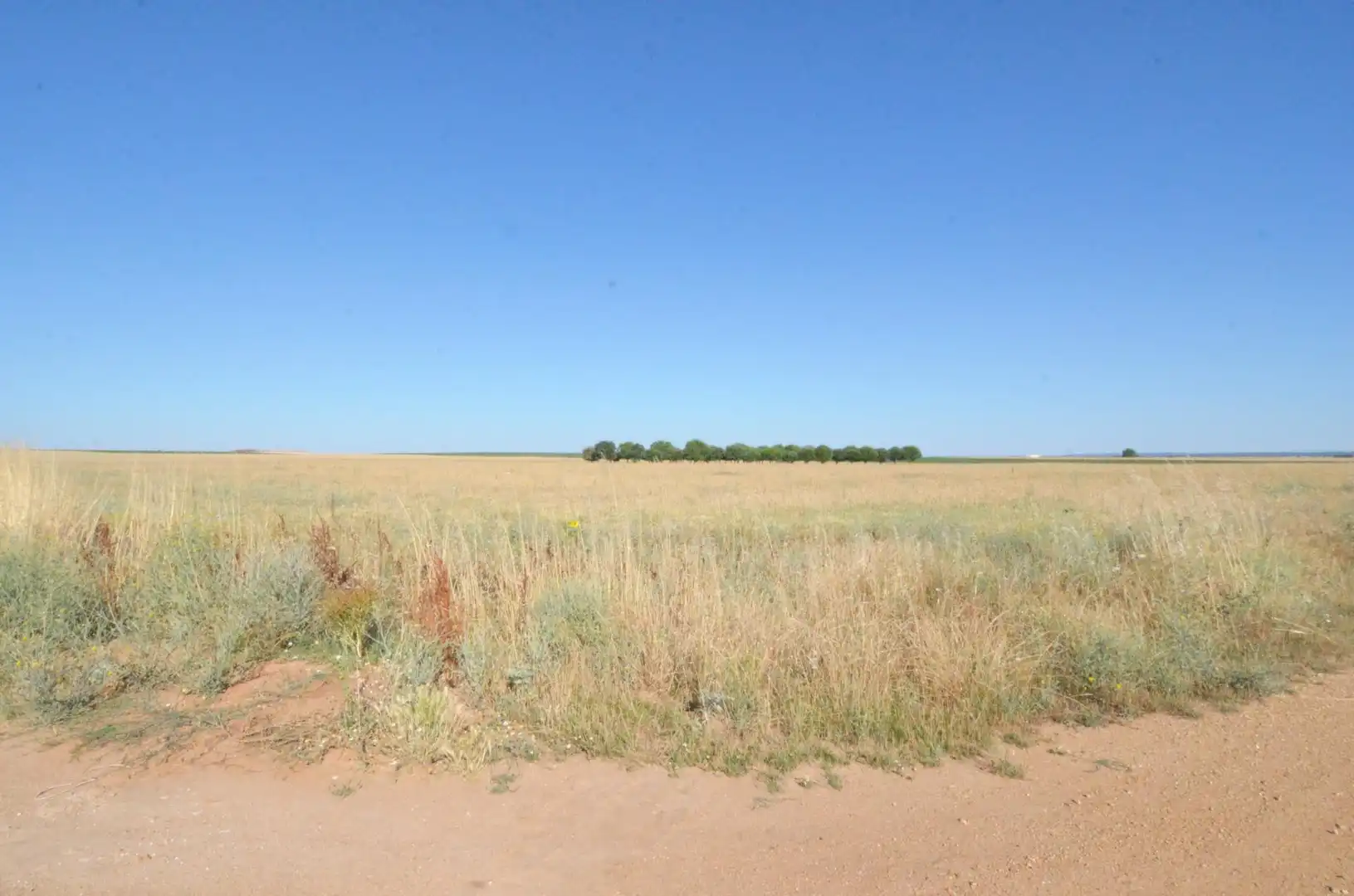 Terreny rústic en venda a Calzada de Valdunciel, imagen 5