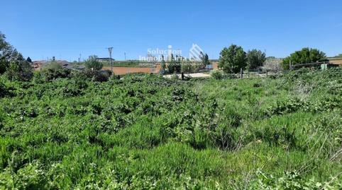 Photo 4 of Land for sale in C/ del Cementerio S/n, Cañizal, Zamora