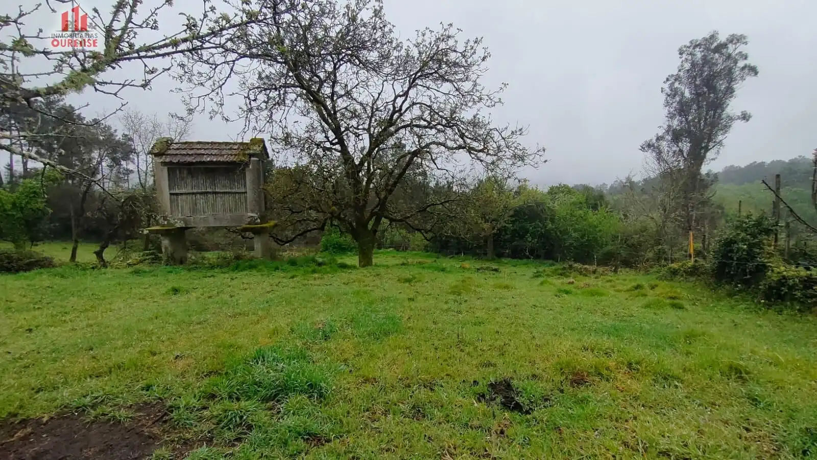 Casa amb jardí en venda a San Cristovo de Cea, imagen 5