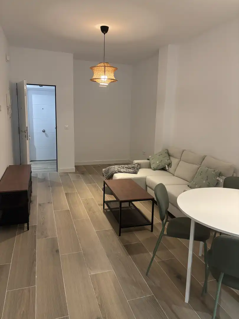 Sala d'estar de Pis de lloguer en Triana
