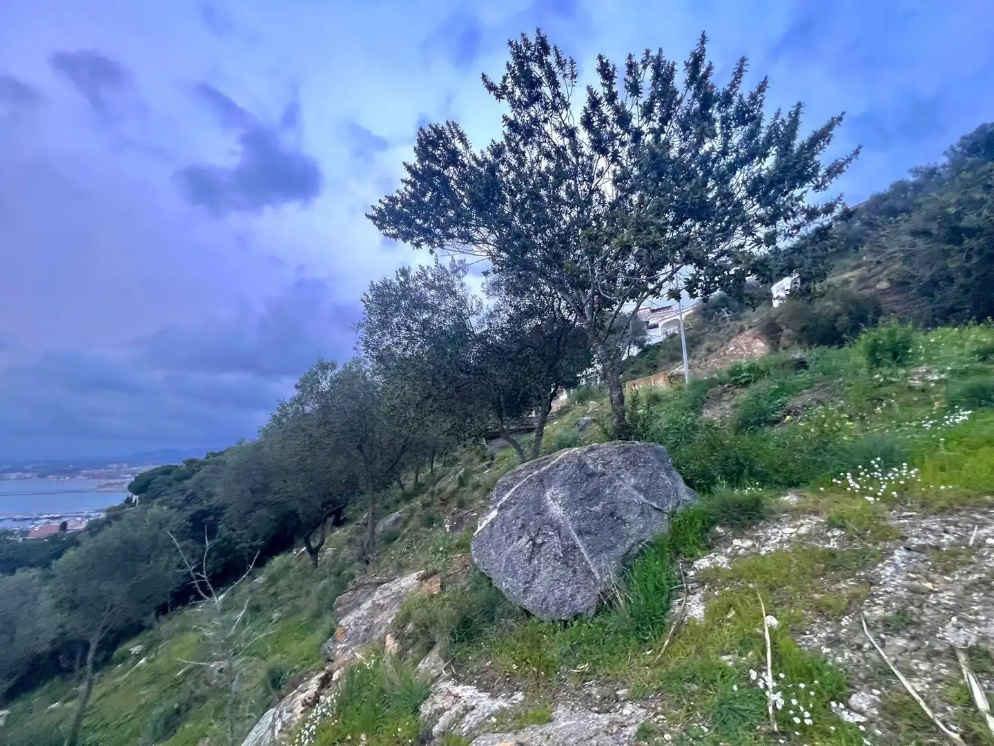 Terrenys i solars en venda a Pasaje de Marià Aguiló 19, imagen 37
