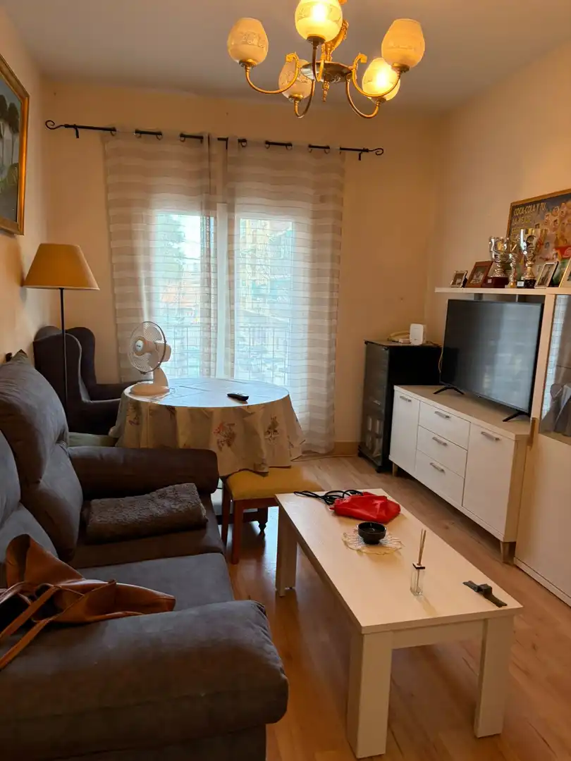 Sala d'estar de Pis en venda en Aranjuez amb Terrassa