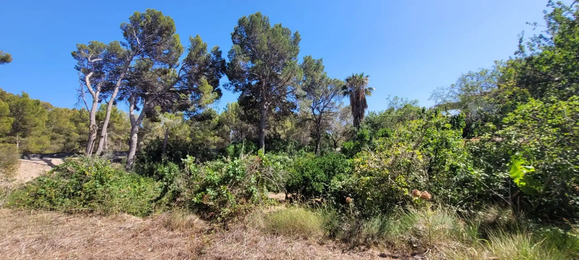Country house zum Verkauf in Altea mit Privatgarten, Terrasse und Abstellraum