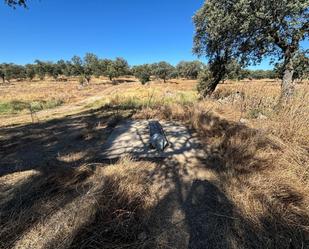 Terreny en venda en Pozoblanco