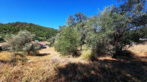 Photo 3 of Residential for sale in Lugar la Corte, 170, Santa Ana la Real, Huelva