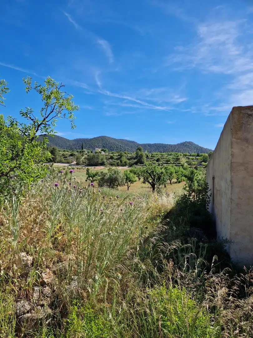 Casa rústica en venda a Ricote, imagen 28