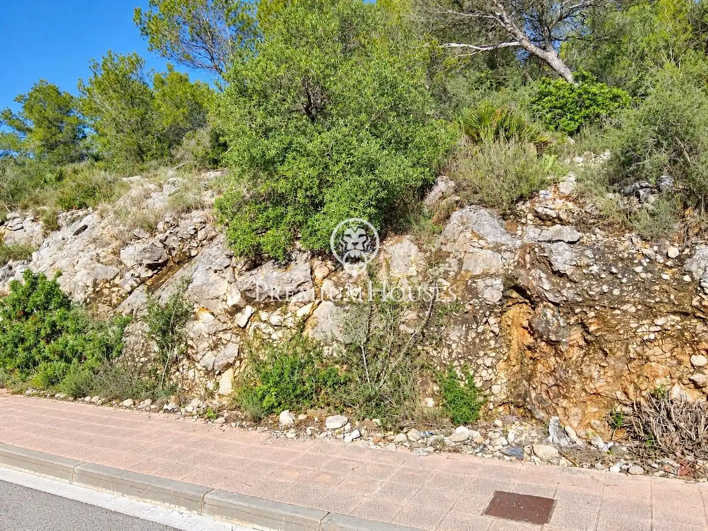 Residential land for sale in Mas Alba, imagen 17