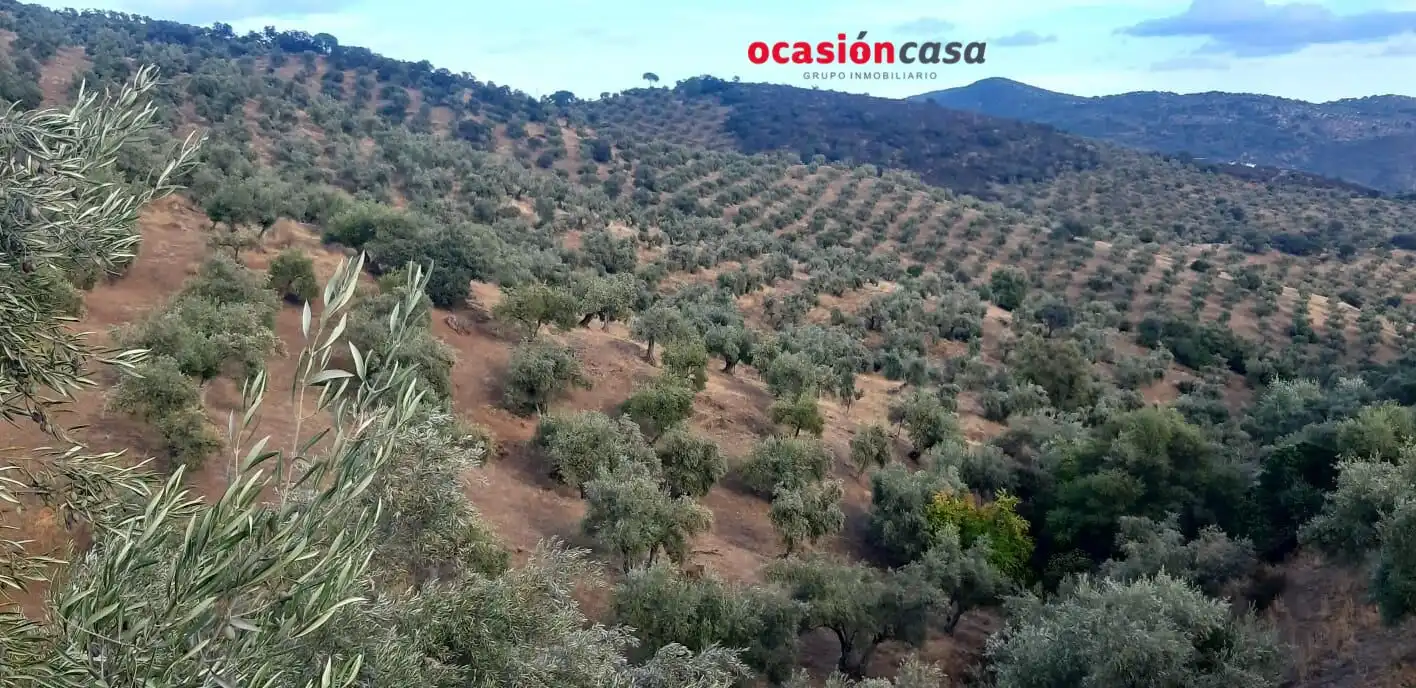 Finca rústica en venta en Pozoblanco