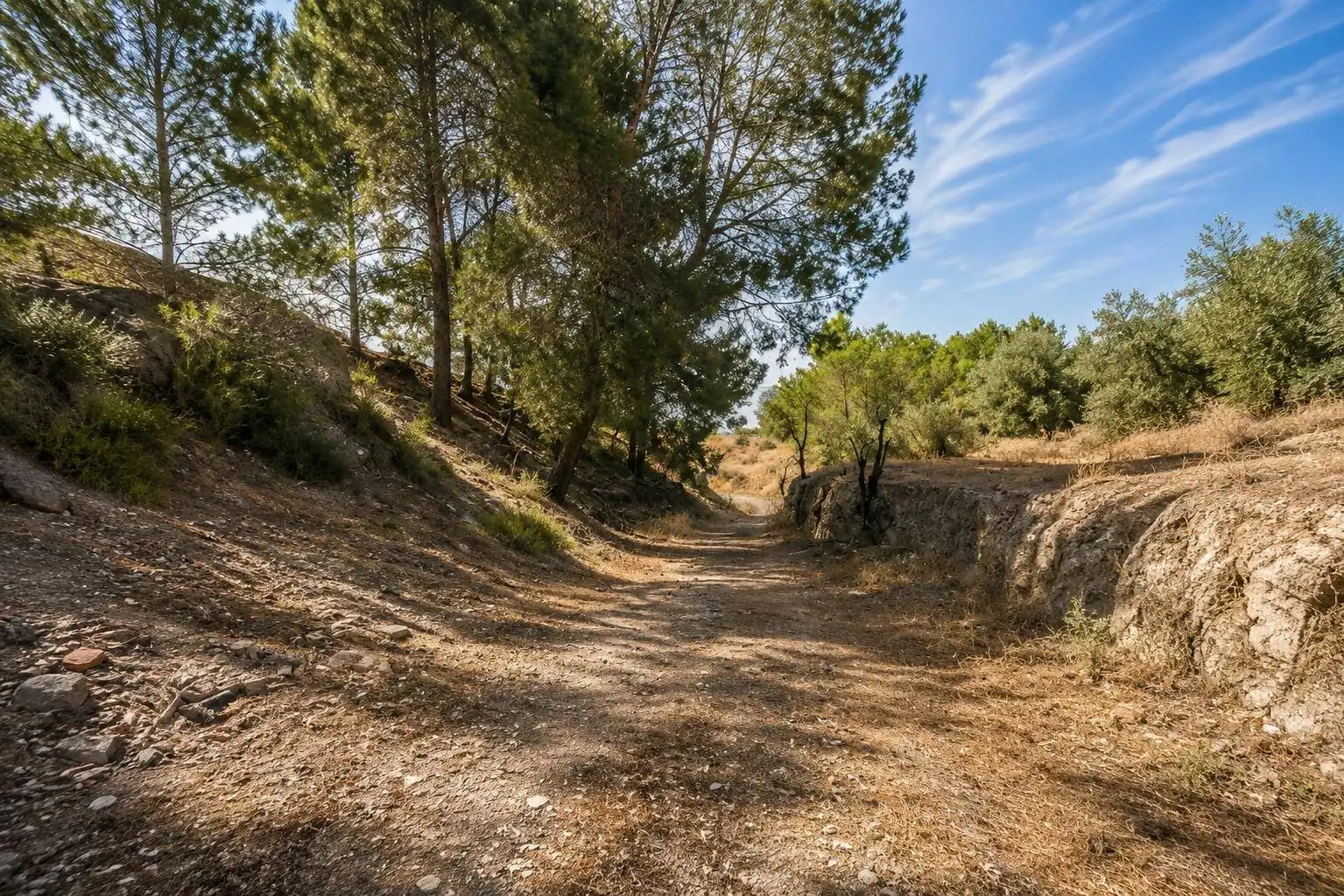 Country homes for sale in Atarfe