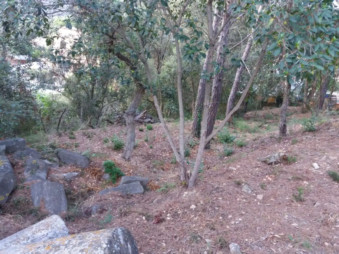Terreno residencial en venta en Avinguda del Bell-lloc, imagen 8