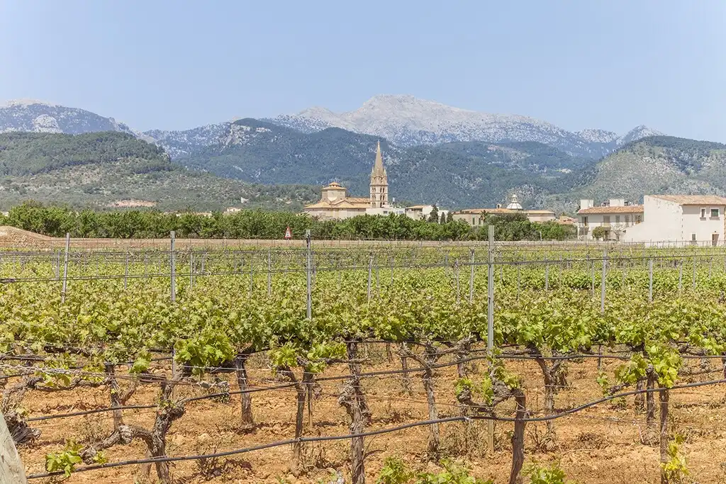 Außenansicht von Country house zum Verkauf in Consell mit Klimaanlage, Heizung und Terrasse