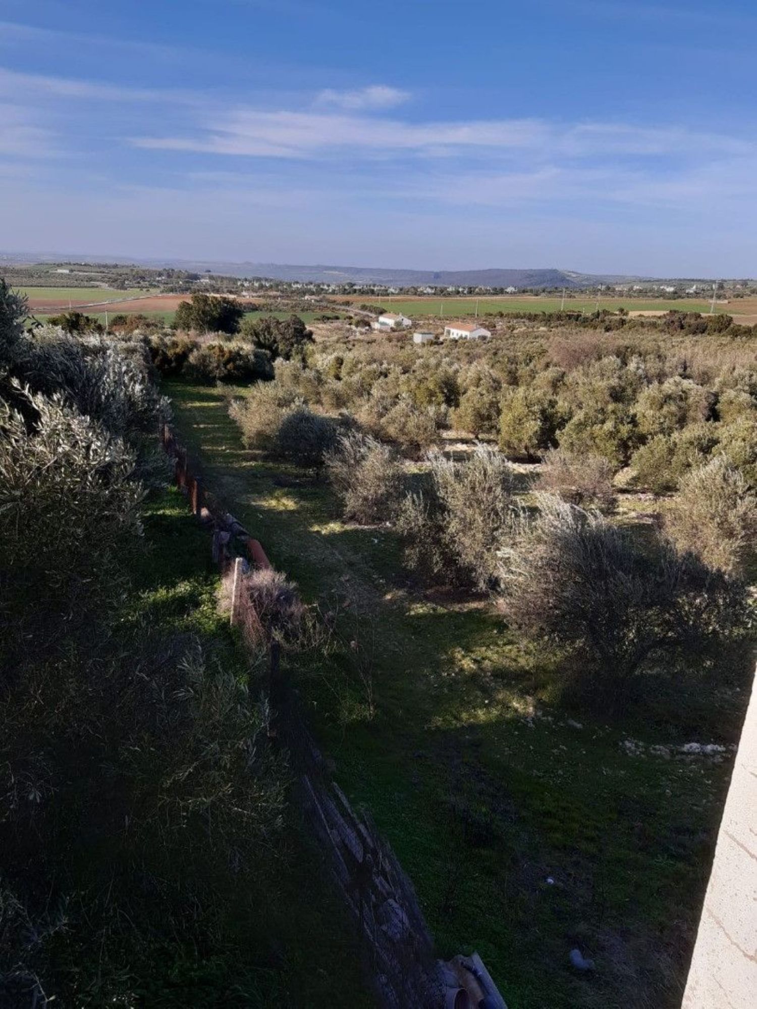 Country house zum verkauf in Algar