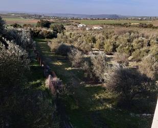 Finca rústica en venda en Algar