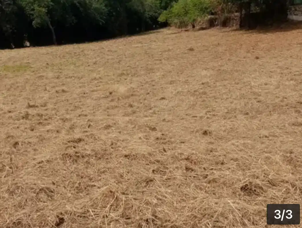 Wohnbaugrundstück zum Verkauf in Rúa Fonte de Brandes 10, imagen 3