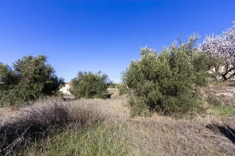 Terreni e lotti in vendita a Avenida de Andalucía, imagen 4