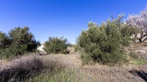 Foto 4 de Residencial en venta en Avenida de Andalucía, Padul, Granada