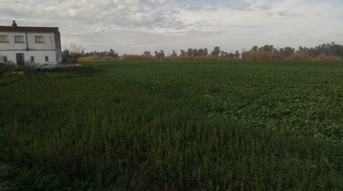 Foto 3 de Terreno en venta en Don Benito, Badajoz