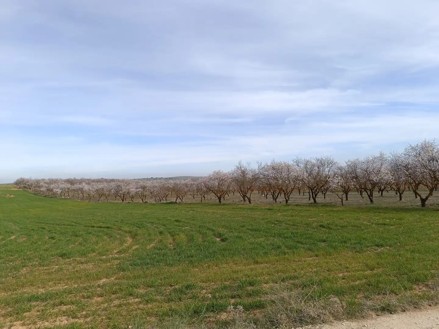 Rustikales Grundstück zum Verkauf in Avenida de Andalucía