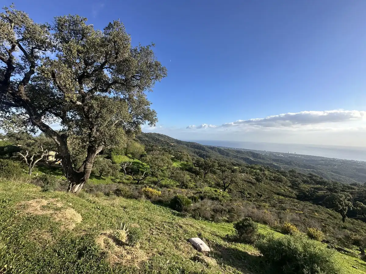 Vista exterior de Residencial en venta en Ojén