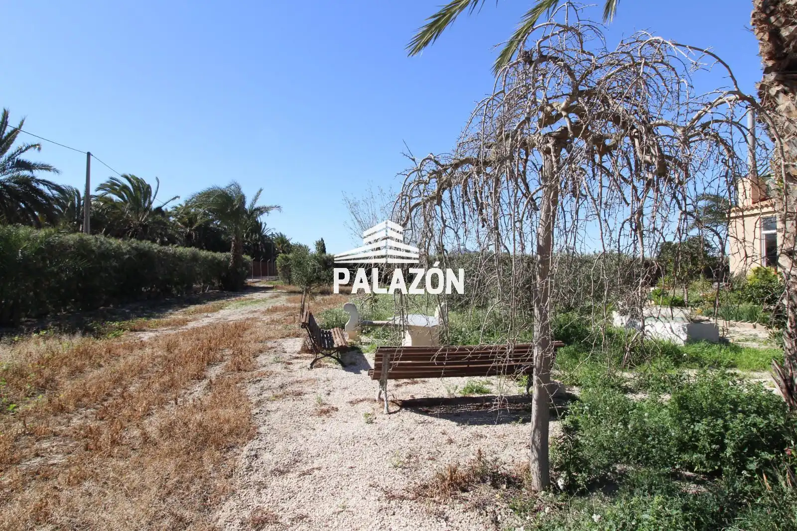 Chalet en venta en Dolores, imagen 29