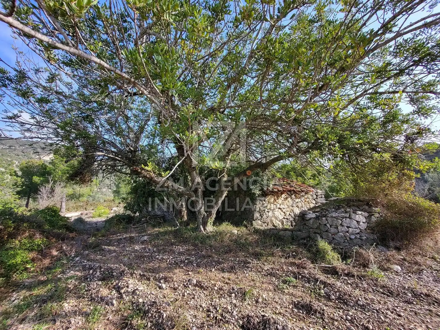 Rural land for sale in Cervera del Maestre, imagen 2
