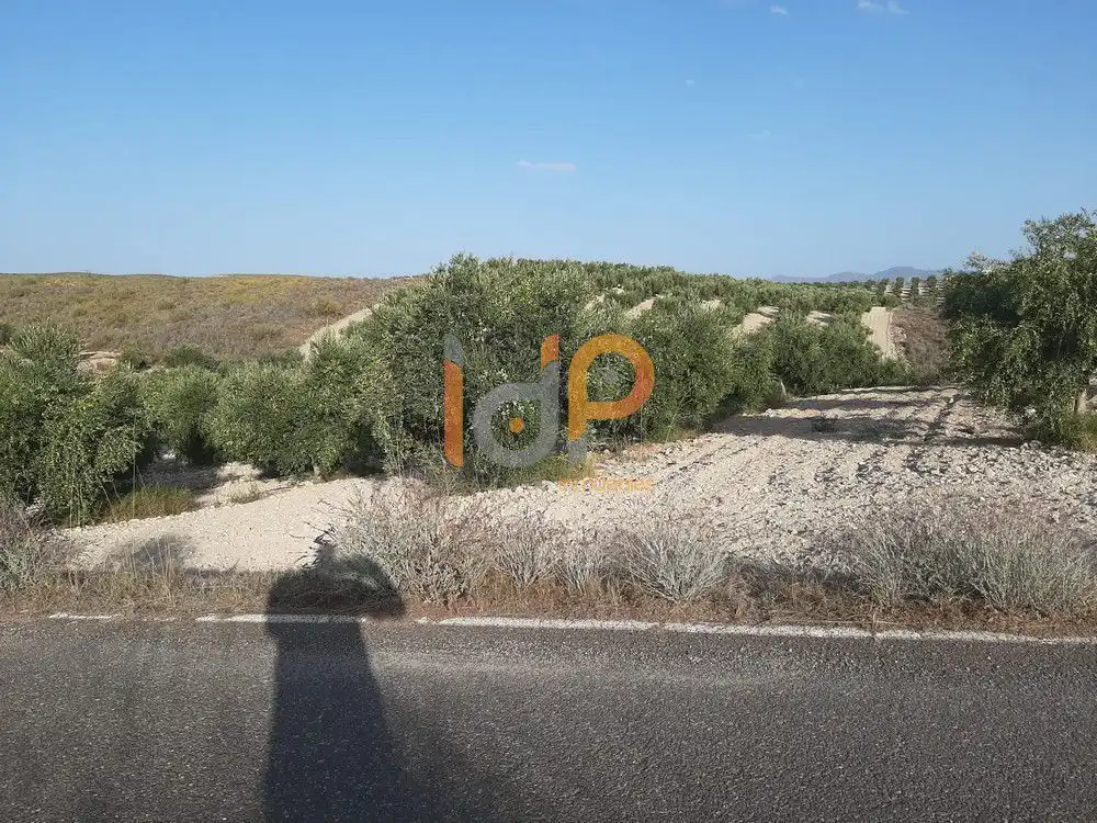 Maison à vendre à Sorbas, imagen 6