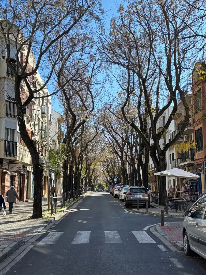 Terreni e lotti in vendita a Calle Juan Talavera Heredia