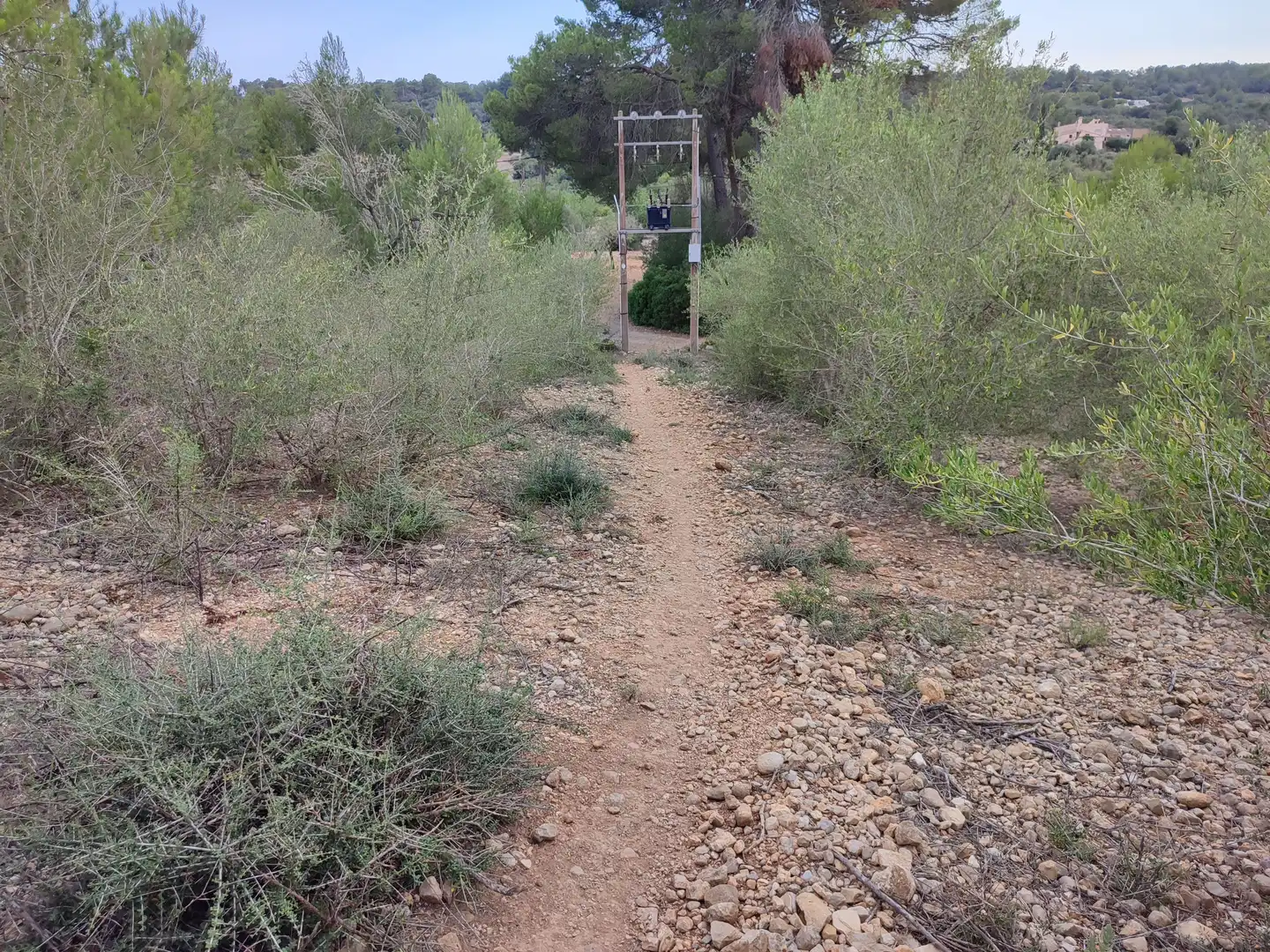 Terrain rustique à vendre à Sant Joan, imagen 14