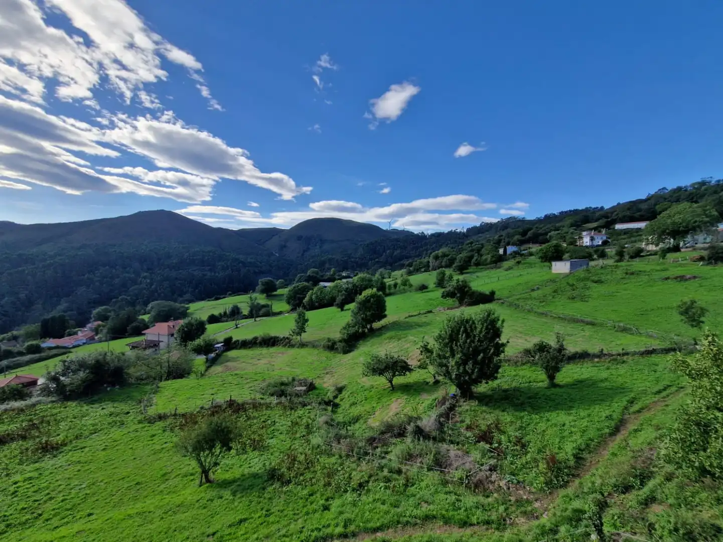 Vista exterior de Casa o chalet en venta en Illas con Calefacción y Trastero